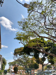 Jervois Mansion (D10), Apartment #524020801